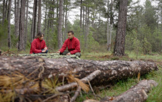 El proyecto europeo Life Token CO₂ pretende valorizar la gestión forestal para frenar el cambio climático
