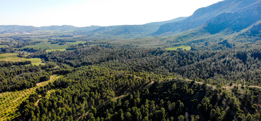 El proyecto Life Token encara su recta final